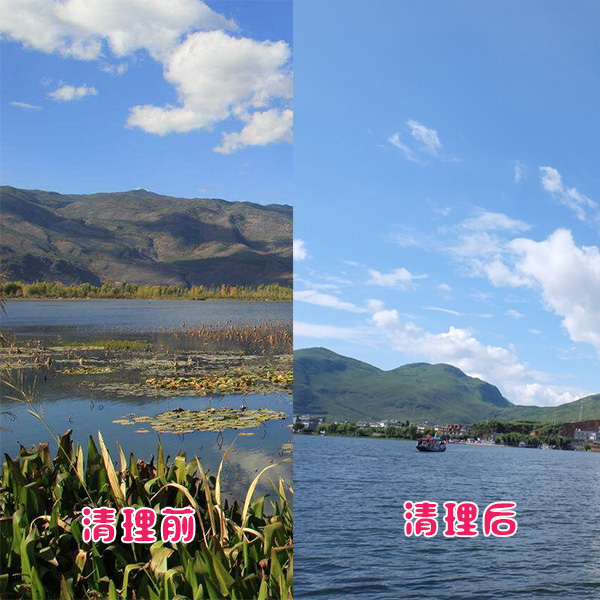 洱?？蛻艉此萸謇硇Ч故? title=