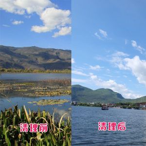 洱?？蛻艉此萸謇硇Ч故?></div>
														<div   id=